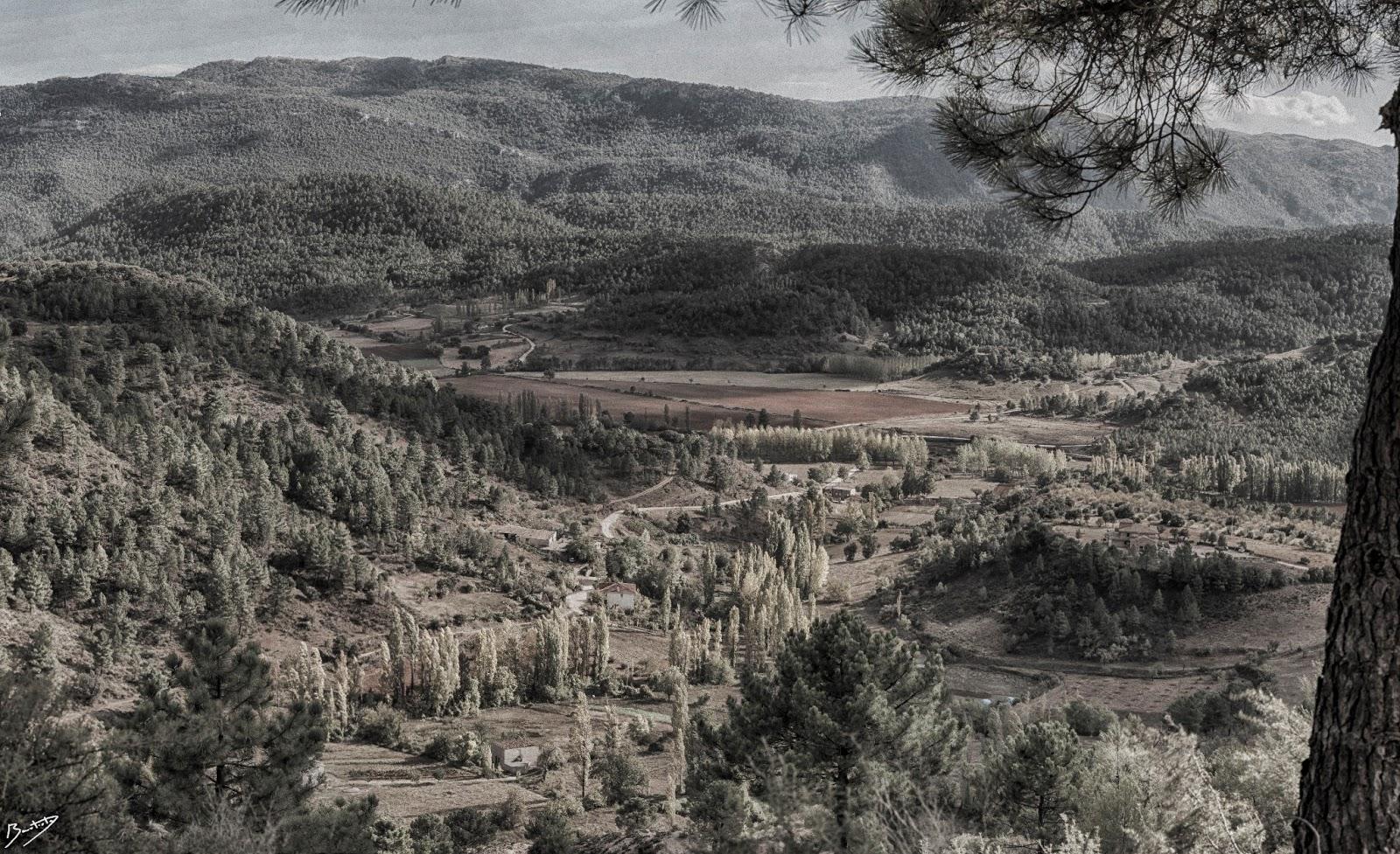 Emular fotografía infrarroja con Photoshop. Emular fotografía infrarroja con Photoshop.