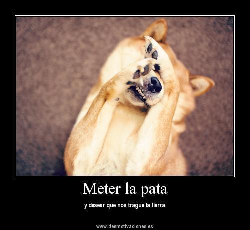 ¡Qué hacer ante una metedura de pata….! ¡Qué hacer ante una metedura de pata….!