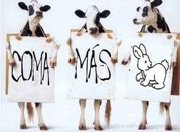 Las mañanas de la 1: recetas fáciles y consejos sobre salud con Rajoy. Las mañanas de la 1: recetas fáciles y consejos sobre salud con Rajoy.