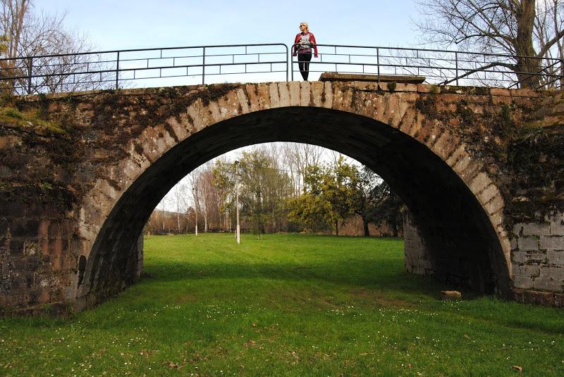 Crème de la crème. Crème de la crème.