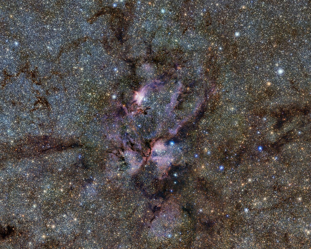 Barriendo el polvo de una langosta cósmica Barriendo el polvo de una langosta cósmica