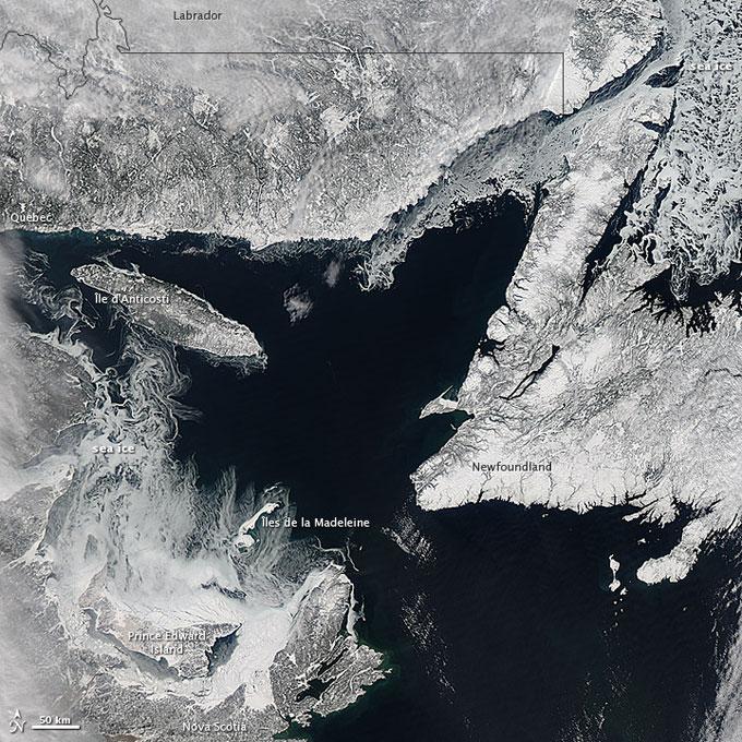 hielo marino en el Golfo de San Lorenzo (Canadá)