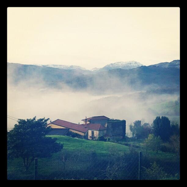 poco a poco y sin sal poco a poco y sin sal