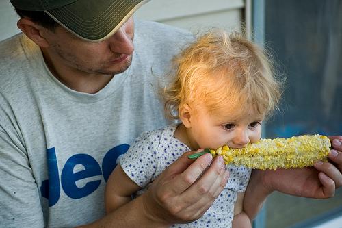 alimentacion alimentacion
