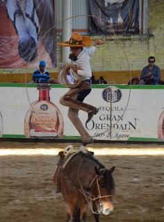 Sigue la fiesta charra de Guadalajara Sigue la fiesta charra de Guadalajara