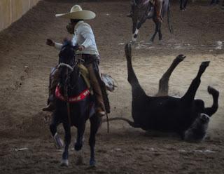 Sigue la fiesta charra de Guadalajara Sigue la fiesta charra de Guadalajara