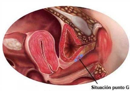 Un encuentro estratosférico en el punto G 20130221045935-sexo-265-media.jpg