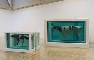 La no-broma de Damien Hirst, l’enfant terrible del mundo del arte La no-broma de Damien Hirst, l’enfant terrible del mundo del arte