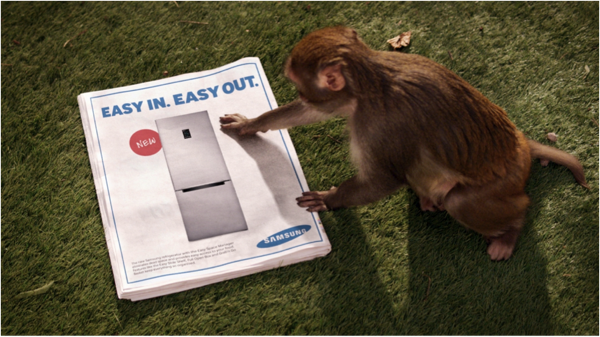 Video Patrocinado: Samsung presenta Monkey Thieves, la nevera que te lo pone fácil monos samsung nevera