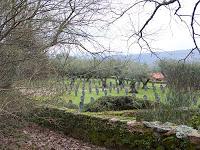 PATRIMONIO CULTURAL: Monasterio de Yuste