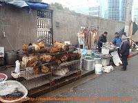 Mercados invernales Shanghái Mercados invernales Shanghái