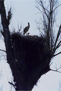 Dale a compartir Dale a compartir