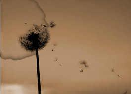 Fer dissabte Fer dissabte