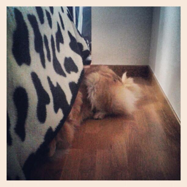 Semana en Imágenes Semana en Imágenes