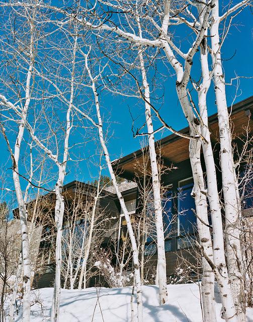 Vistas impresionantes a las montañas nevadas de Aspen Vistas impresionantes a las montañas nevadas de Aspen
