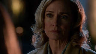 7 imágenes, 7 series (CXL) 7 imágenes, 7 series (CXL)