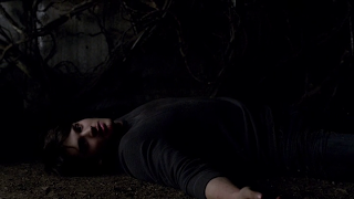 7 imágenes, 7 series (CXL) 7 imágenes, 7 series (CXL)