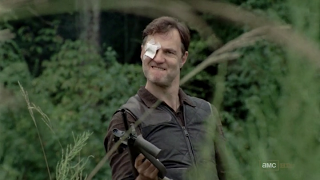 7 imágenes, 7 series (CXL) 7 imágenes, 7 series (CXL)