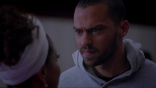 7 imágenes, 7 series (CXL) 7 imágenes, 7 series (CXL)