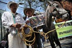 Cafeteros de Colombia marchan por subsidios y freno a importación del grano Cultivadores y recolectores de café durante una protesta ante la Federación Nacional de Cultivadores de Café en noviembre de 2012