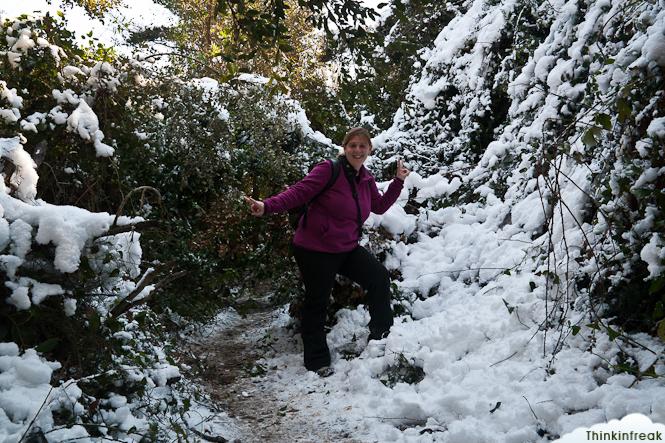 Collserola nevada Collserola nevada