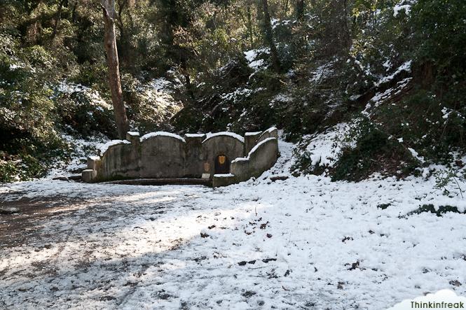 Collserola nevada Collserola nevada