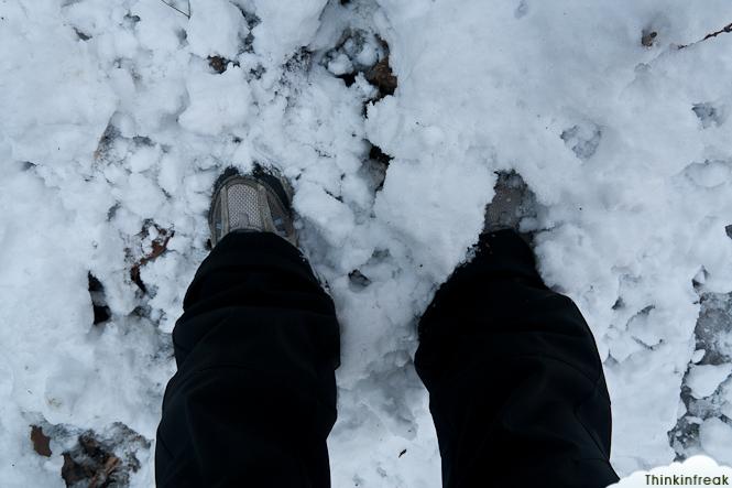 Collserola nevada Collserola nevada
