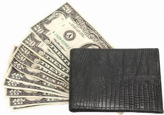 ¿Cómo obtener dinero fácilmente? obtener dinero fácil