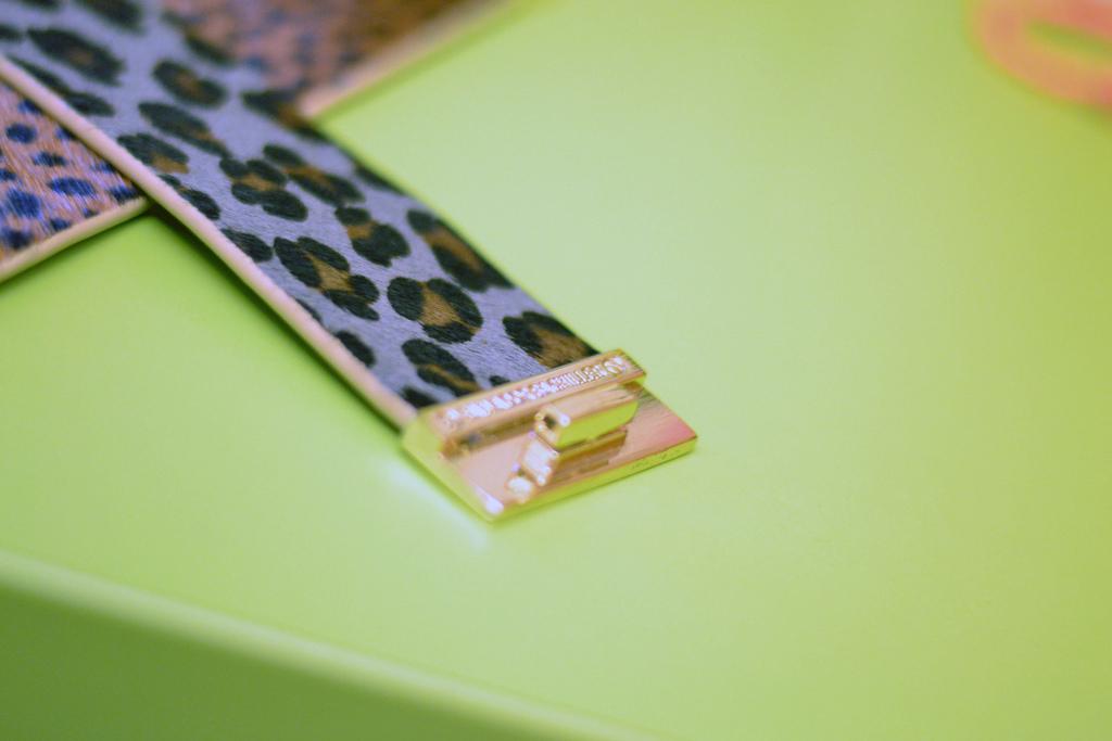 Passion for Red DSC_3041