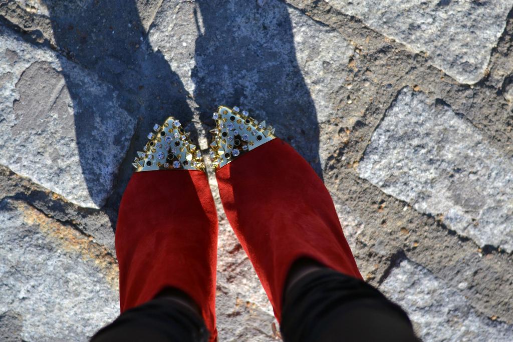 Passion for Red DSC_2914