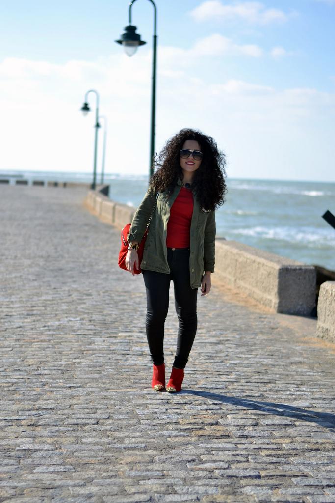 Passion for Red DSC_2894