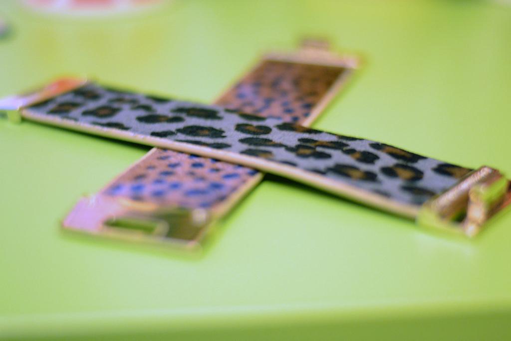 Passion for Red DSC_3042