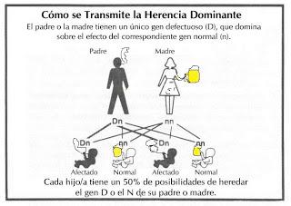 EL PORQUÉ DE MIS DEFECTOS