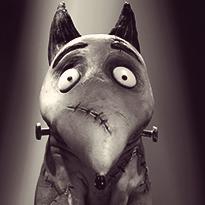 Frankenweenie (2012)