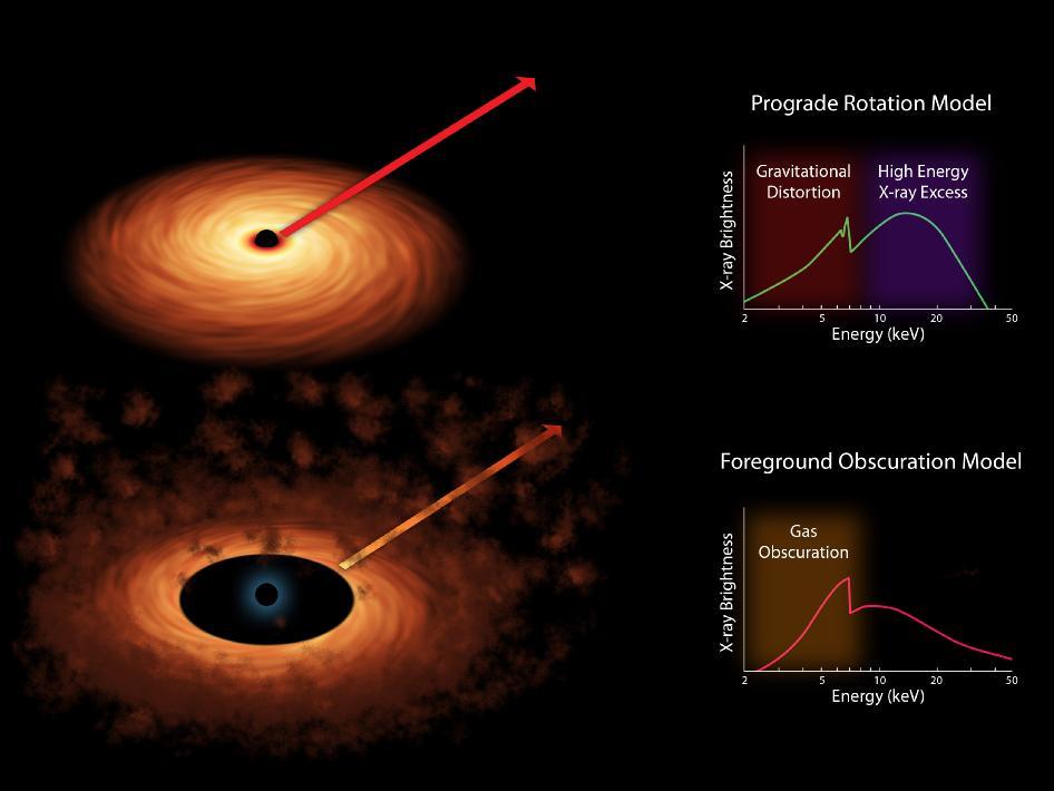 Rotation and obscuration models