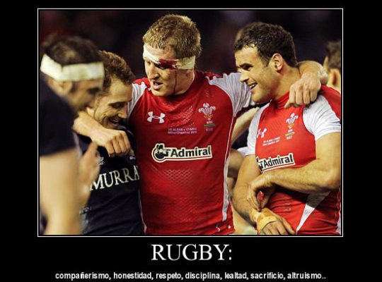 rugbybuenrollo