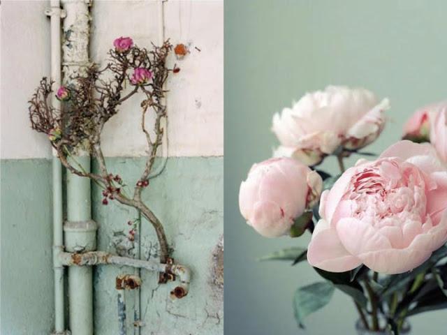 Con un toque femenino Con un toque femenino