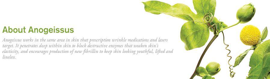 Plantscription SPF 25 Anti-aging Cream. Lo mejor para tu piel. Plantscription SPF 25 Anti-aging Cream. Lo mejor para tu piel.