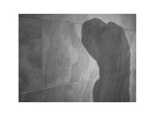 Antonio Ugarte - obra Antonio Ugarte -Sombras de Museo