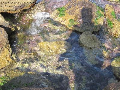 Patatas a la marinera Patatas a la marinera