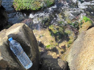 Patatas a la marinera Patatas a la marinera