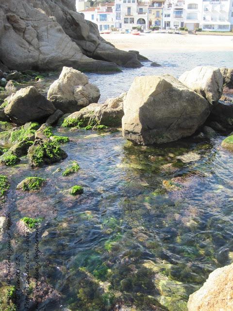 Patatas a la marinera Patatas a la marinera