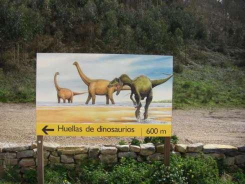 Ruta de los dinosaurios (Asturias) icnitas_museo_jurasico