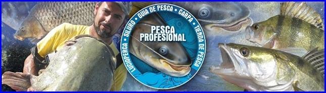 GUIA DE PESCA DEL SILURO AL PELLETS 2013 GUIA DE PESCA DEL SILURO AL PELLETS 2013 GUIA DE PESCA DEL SILURO AL PELLETS 2013