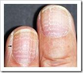 lineas de beau lineas de beau