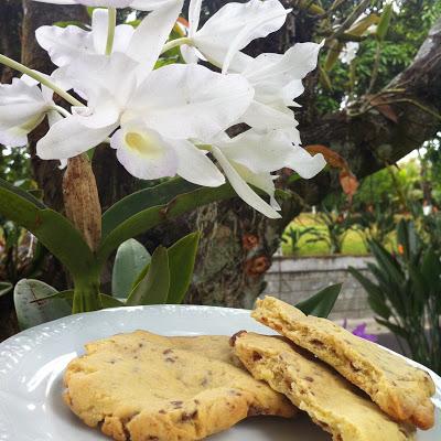 GALLETAS estilo COOKIES