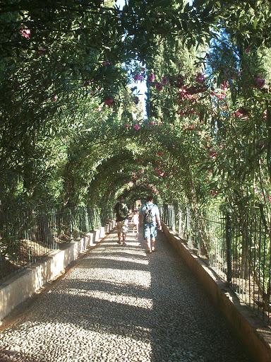 Paseando por Granada 2/3. Subida y recorrido por la Alhambra. Paseando por Granada 2/3. Subida y recorrido por la Alhambra.