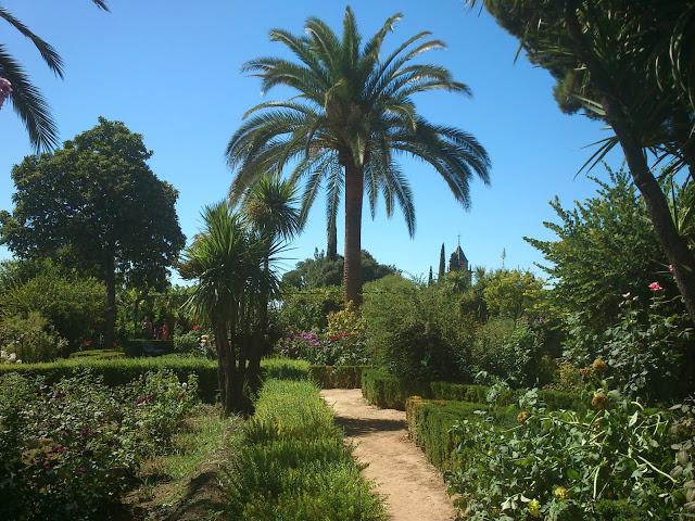 Paseando por Granada 2/3. Subida y recorrido por la Alhambra. Paseando por Granada 2/3. Subida y recorrido por la Alhambra.