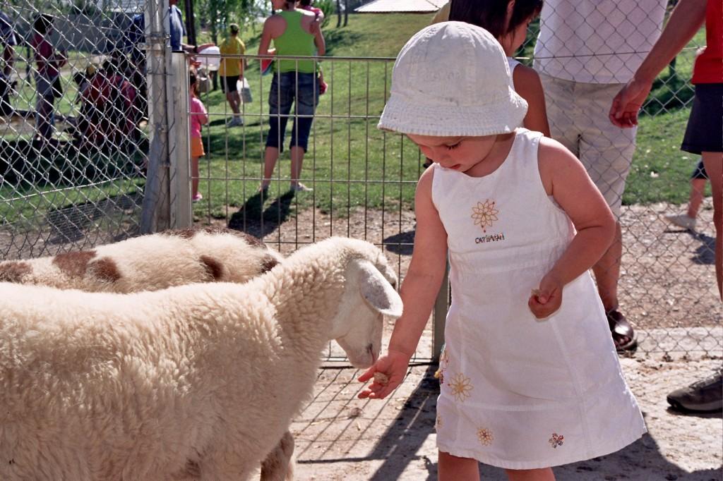 ¡Participa para disfrutar de una escapada familiar en los hoteles Vilars Rurals! Nena Granja