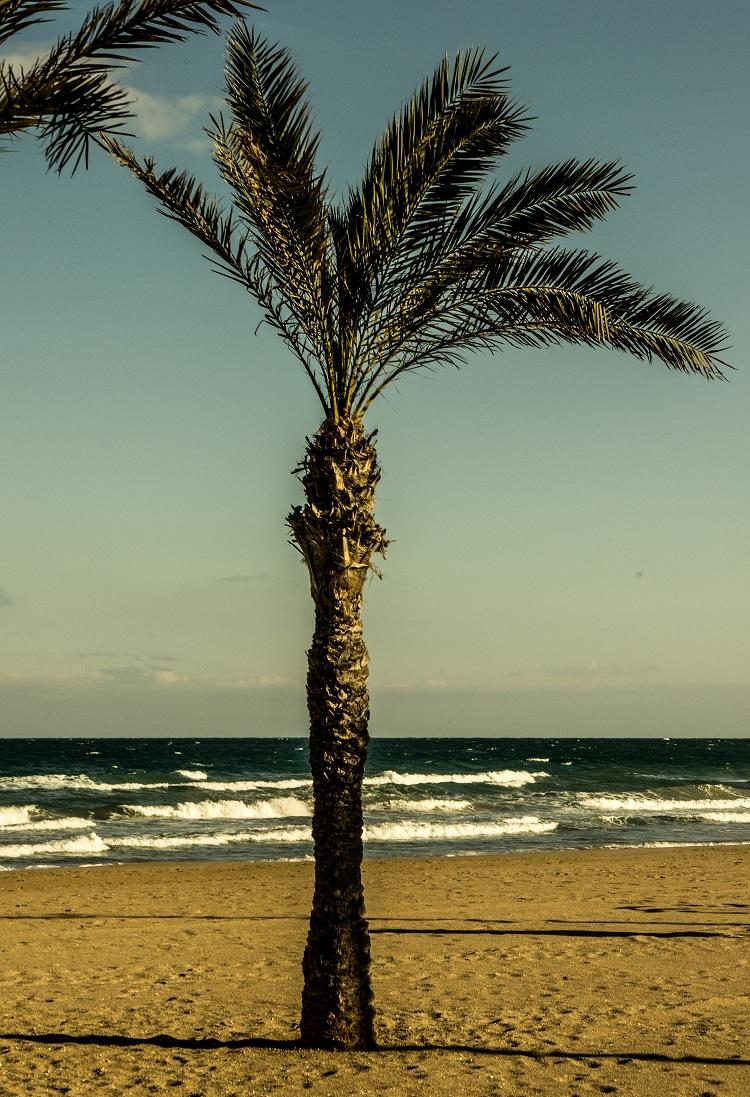 Black & Red Black & Red